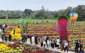 山河同庆,乐享芮城——你的国庆假期是什么颜色?芮城的是“人气红”!